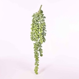 Sedum 38 Cm - Assortito in due colorazioni