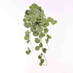 Geranio in mazzo cadente - 60 Cm / Verde