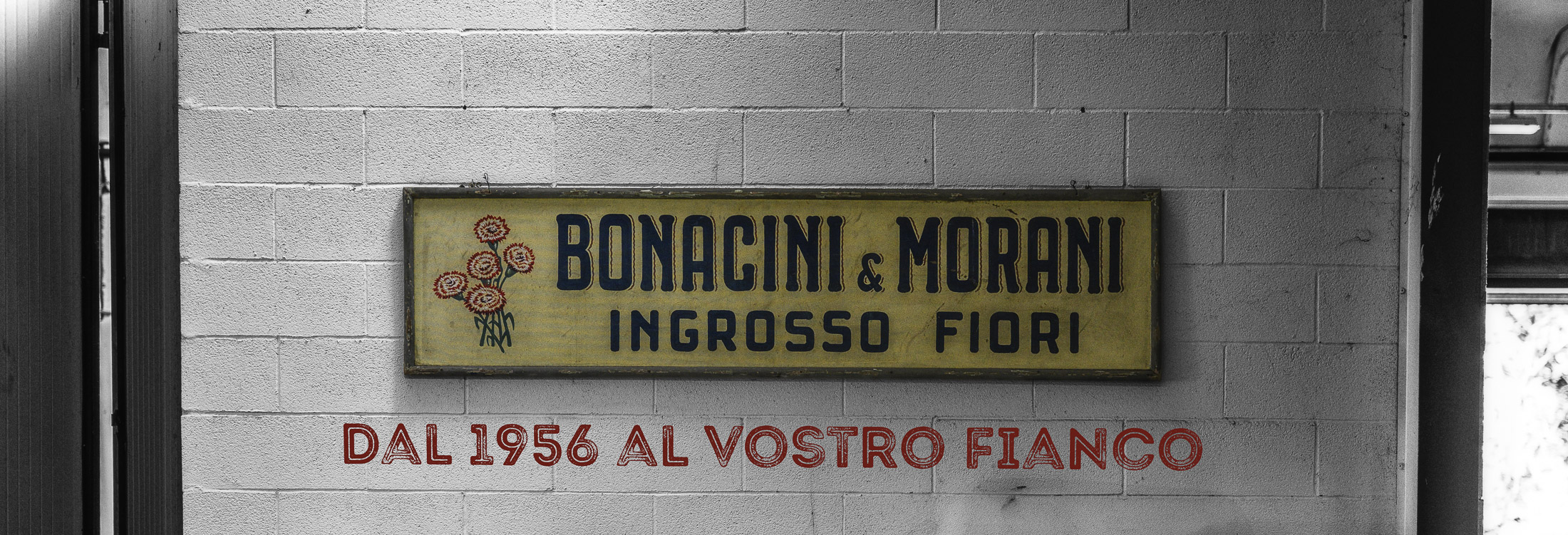 Scopri di più image