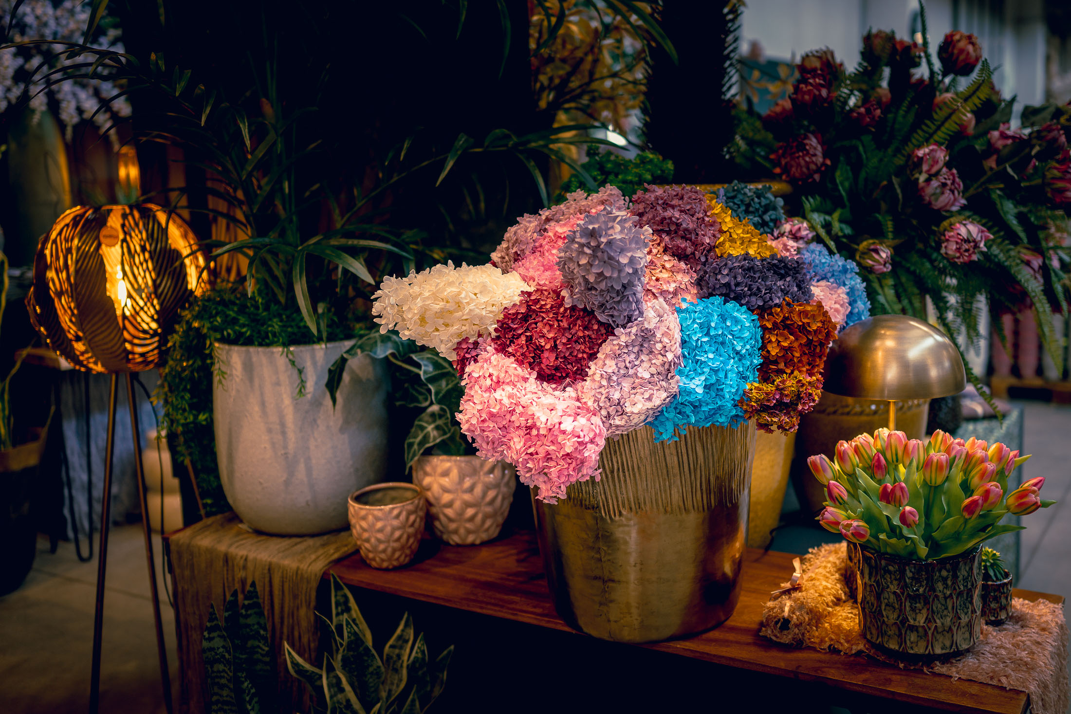 Rendi la natura eterna con i nostri fiori e verdi stabilizzati image